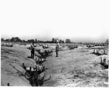Newberry County, South Carolina. Brush dams forming deltas of alluvial soil, which are used as plan . . . - NARA - 522817