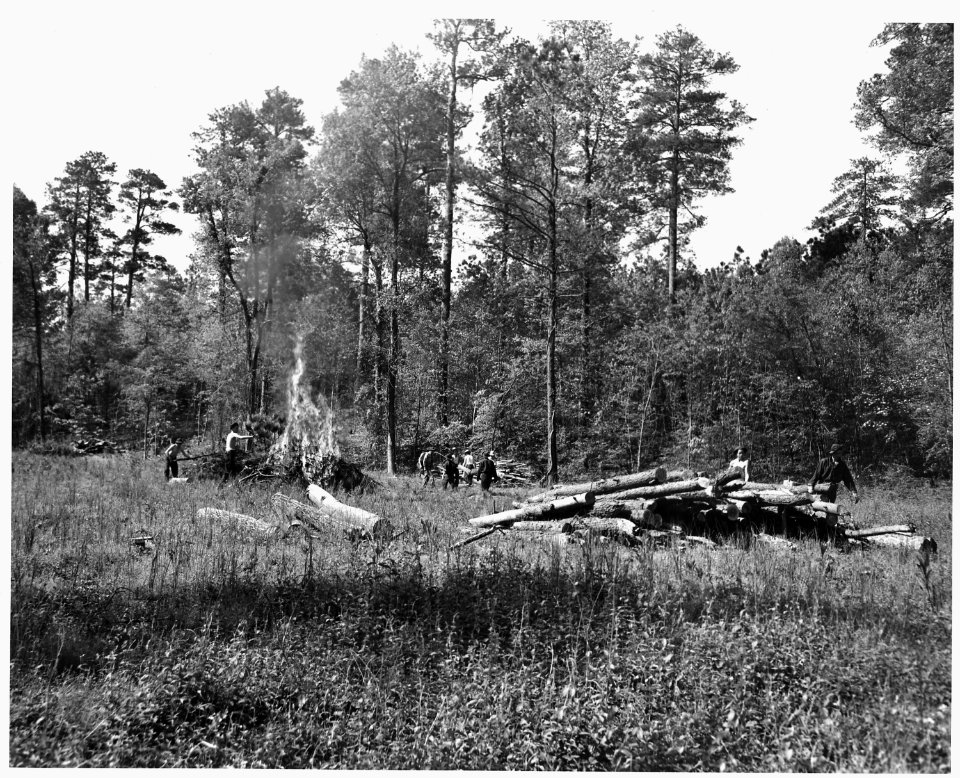 Newberry County, South Carolina. CCC enrollees burning brush on land that has been cleared for botto . . . - NARA - 522811
