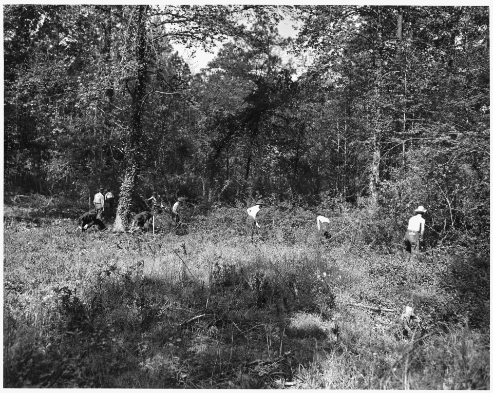 Newberry County, South Carolina. CCC enrollees furnish valuable assistance to farmers in Newberry C . . . - NARA - 522767