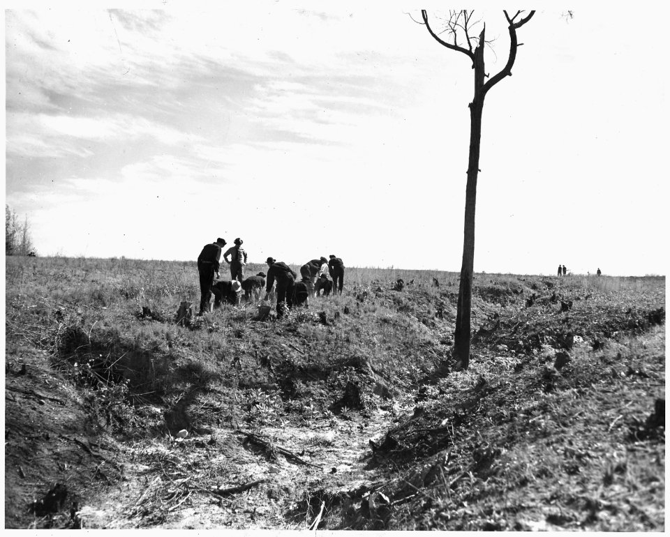 Newberry County, South Carolina. CCC enrollees planting kudzu on gully bank on C. C. Spoon's farm. . . . - NARA - 522770
