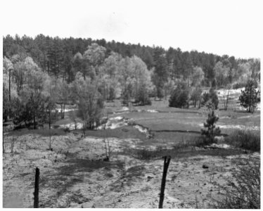 Newberry County, South Carolina. A hillside pasture in an advanced stage of erosion. Expensive ero . . . - NARA - 522764