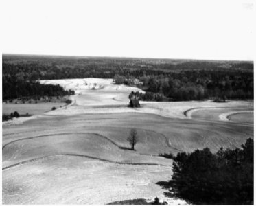 Newberry County, South Carolina. Contour plowing and terraces as see from 100' fire lookout tower on . . . - NARA - 522814