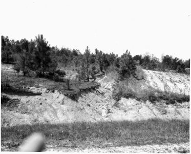 Newberry County, South Carolina. Erosion Control. (No detailed description given.) - NARA - 522738