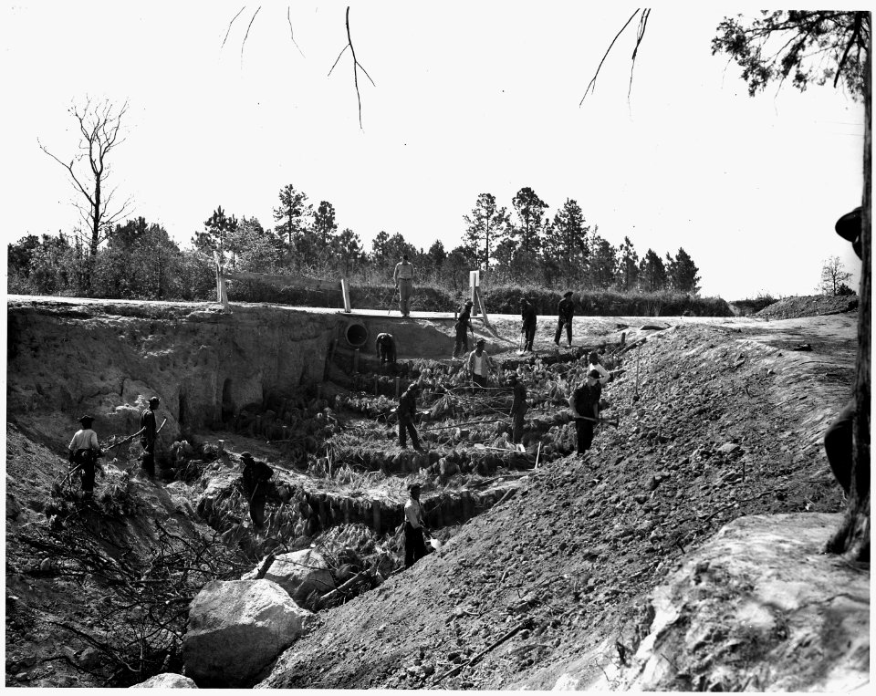Newberry County, South Carolina. Erosion control work by CCC Camp F-6 on large gully resulting from . . . - NARA - 522793