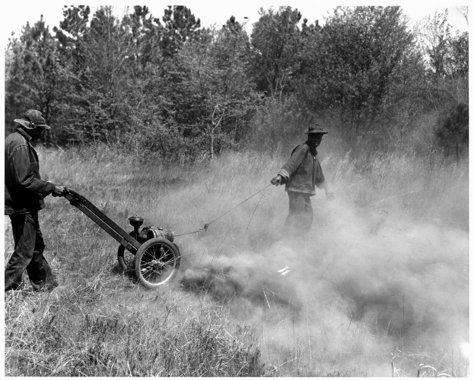 Newberry County, South Carolina. Allegheny fire line trencher in action in a sedge grass and briar f . . . - NARA - 522813