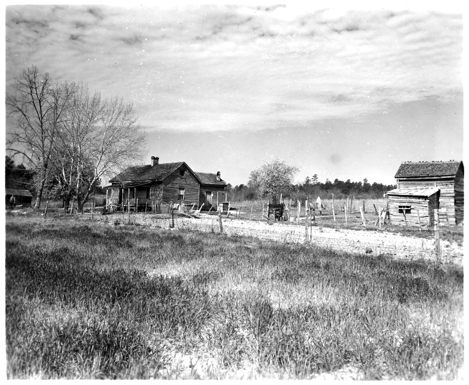Newberry County, South Carolina. Farms. (No detailed description given.) - NARA - 522736