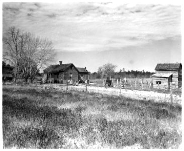 Newberry County, South Carolina. Farms. (No detailed description given.) - NARA - 522736