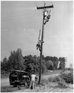 Newberry County, South Carolina. Job of installing transformer by Newberry R. E. A. linesmen connect . . . - NARA - 522699