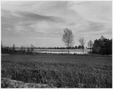 Newberry County, South Carolina. General view of Peter Kinard's tenant purchase farm showing strip . . . - NARA - 522763