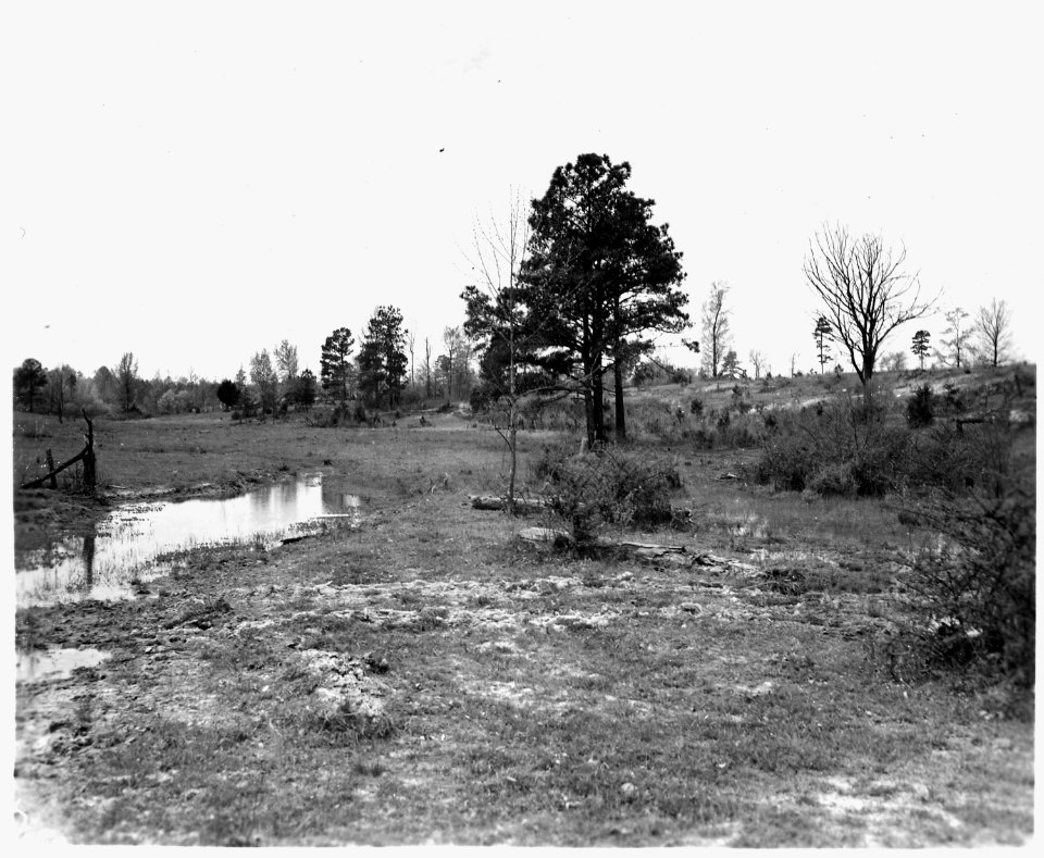 Newberry County, South Carolina. Land Cultivation. (No detailed description given.) - NARA - 522705