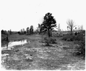 Newberry County, South Carolina. Land Cultivation. (No detailed description given.) - NARA - 522705