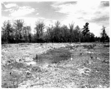 Newberry County, South Carolina. Land Cultivation. (No detailed description given.) - NARA - 522703