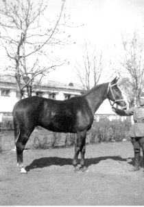 Narcyz Witczak-Witaczyński - Żołnierze Szwadronu Przybocznego w koszarach (107-1059-1)