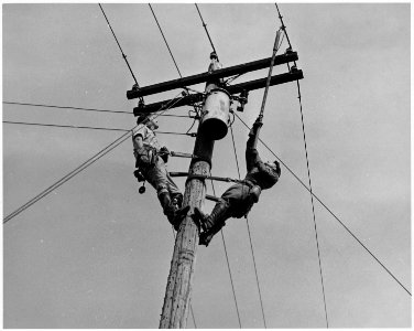 Newberry County, South Carolina. Electricity being taken off transformer before actual work begins. . . . - NARA - 522677