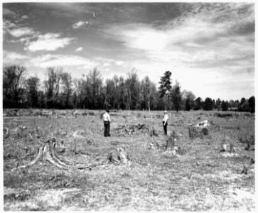 Newberry County, South Carolina. Land Cultivation. (No detailed description given.) - NARA - 522709