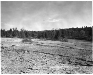 Newberry County, South Carolina. Land Cultivation. (No detailed description given.) - NARA - 522712