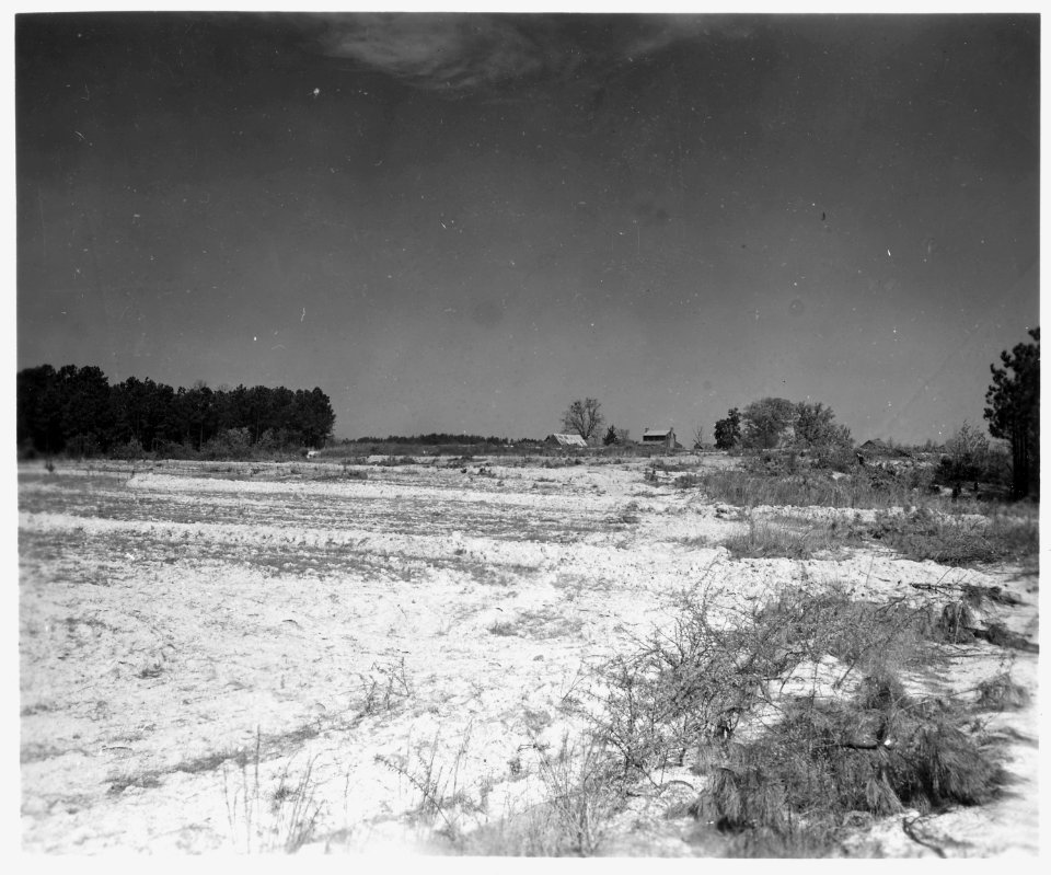 Newberry County, South Carolina. Land Cultivation. (No detailed description given.) - NARA - 522706
