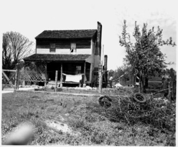 Newberry County, South Carolina. Farms. (No detailed description given.) - NARA - 522734