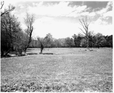 Newberry County, South Carolina. Land Cultivation. (No detailed description given.) - NARA - 522710