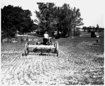 Newberry County, South Carolina. Land Cultivation. (No detailed description given.) - NARA - 522729