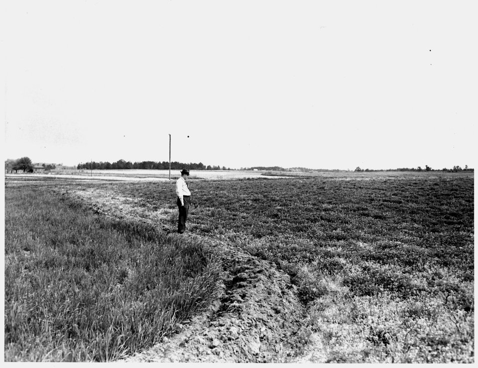 Newberry County, South Carolina. Land Cultivation. (No detailed description given.) - NARA - 522745