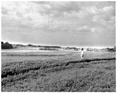 Newberry County, South Carolina. Land Cultivation. (No detailed description given.) - NARA - 522747