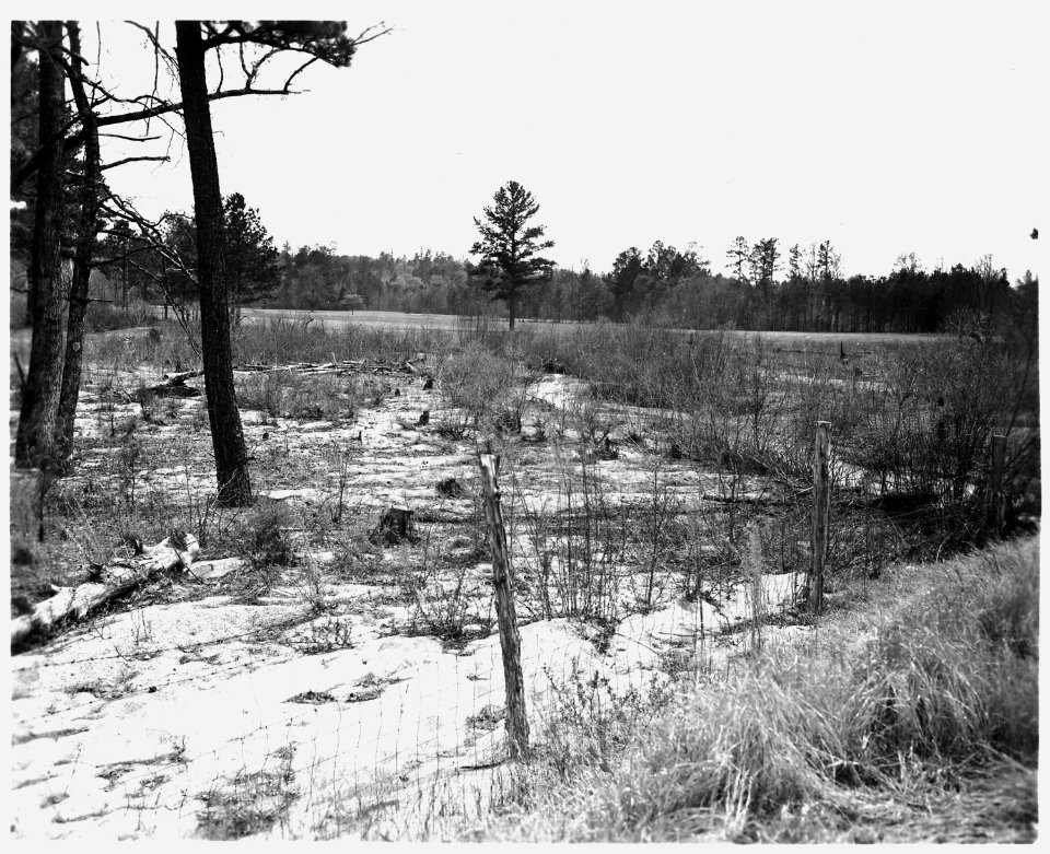Newberry County, South Carolina. Land Cultivation. (No detailed description.) - NARA - 522711