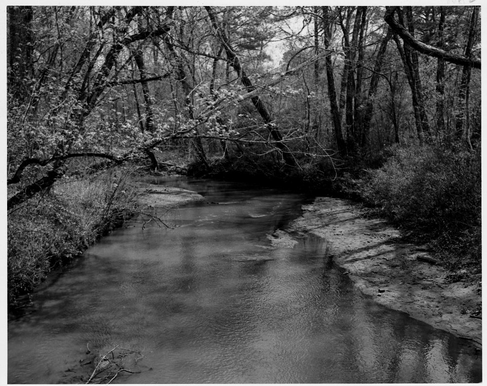 Newberry County, South Carolina. Misc. (No detailed description given.) - NARA - 522743
