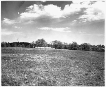 Newberry County, South Carolina. Land Cultivation. (No detailed description given.) - NARA - 522704