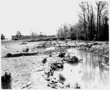 Newberry County, South Carolina. Land Cultivation. (No detailed description given.) - NARA - 522708