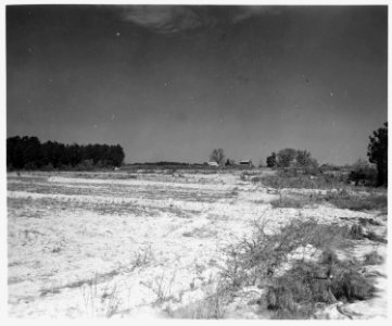 Newberry County, South Carolina. Land Cultivation. (No detailed description given.) - NARA - 522706