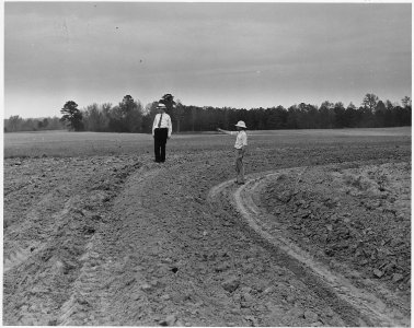 Newberry County, South Carolina. Mr. C. T. Smith, District Supervisor of Lower Saluda Soil Conserva . . . - NARA - 522696