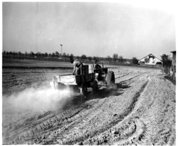 Newberry County, South Carolina. Land Cultivation. (No detailed description given.) - NARA - 522730