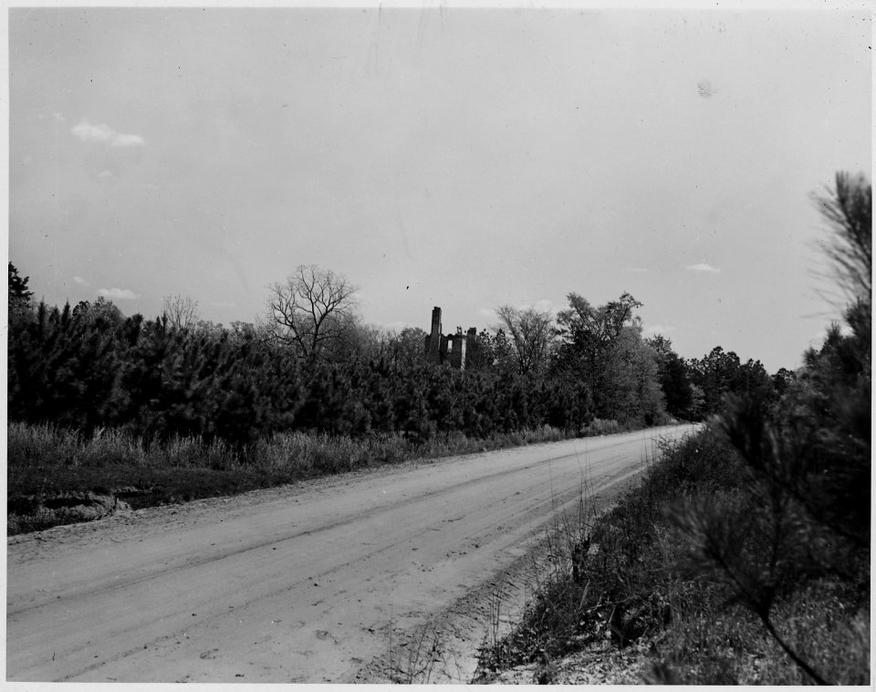 Newberry County, South Carolina. Ruins of an old plantation house surrounded by vigorous growth of t . . . - NARA - 522769
