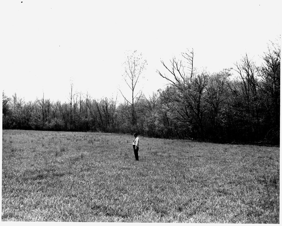 Newberry County, South Carolina. Land Cultivation. (No detailed description given.) - NARA - 522746