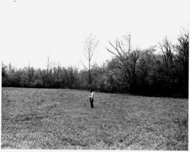 Newberry County, South Carolina. Land Cultivation. (No detailed description given.) - NARA - 522746