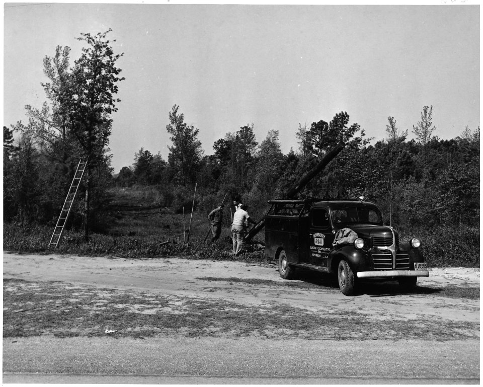 Newberry County, South Carolina. Setting R. E. A. poles by Newberry County Electric Cooperative, Inc . . . - NARA - 522774