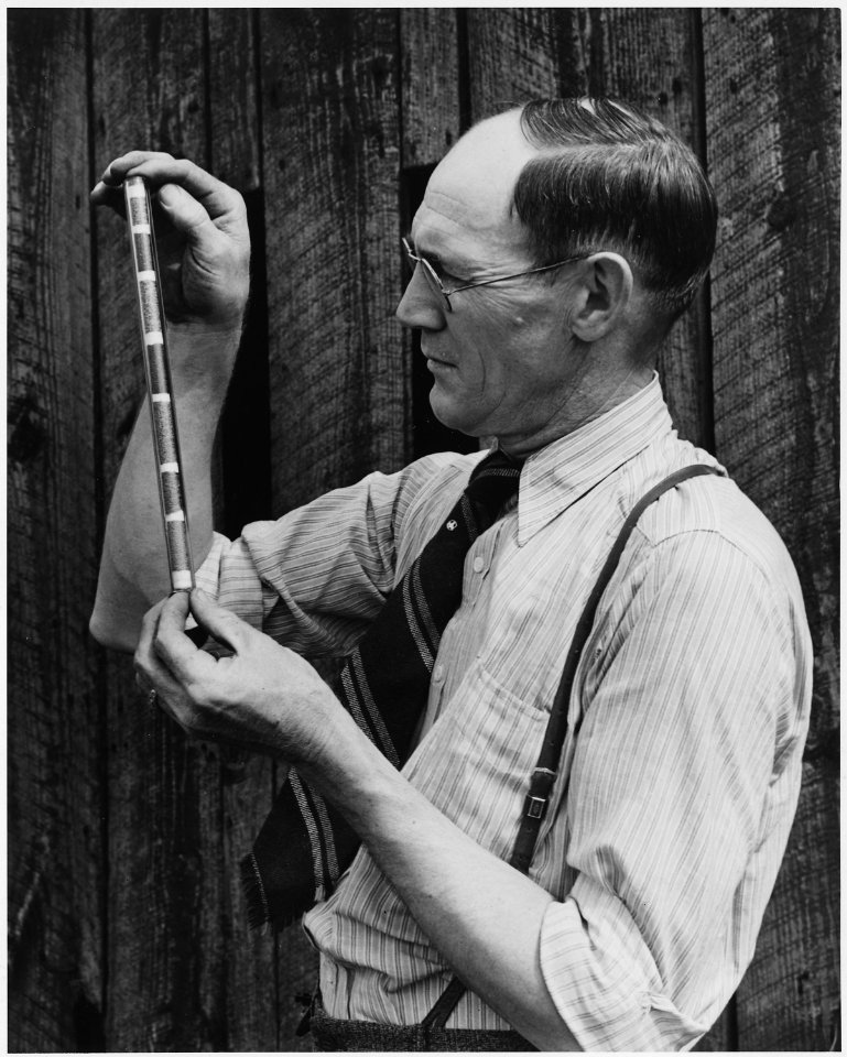 Newberry County, South Carolina. S. A. Williams, manager, Southern Cotton Oil Company, Newberry, S . . . - NARA - 522700
