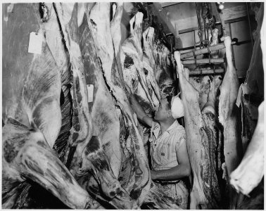 Newberry County, South Carolina. To the left in this picture is shown dressed cattle in the cold sto . . . - NARA - 522691