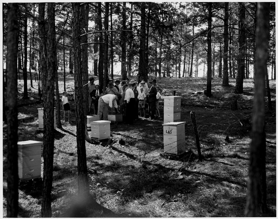 Newberry County, South Carolina. Monthly meeting of the Beekeepers Association of Newberry County co . . . - NARA - 522759