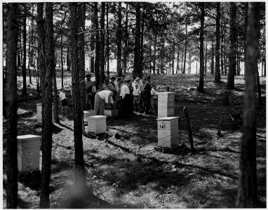 Newberry County, South Carolina. Monthly meeting of the Beekeepers Association of Newberry County co . . . - NARA - 522759