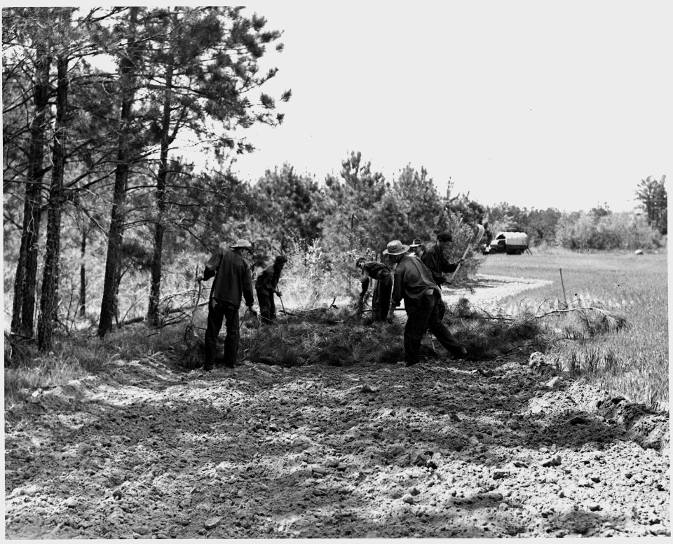 Newberry County, South Carolina. Mulching a 20' strip of field adjacent of woods. 5' next to woods . . . - NARA - 522777
