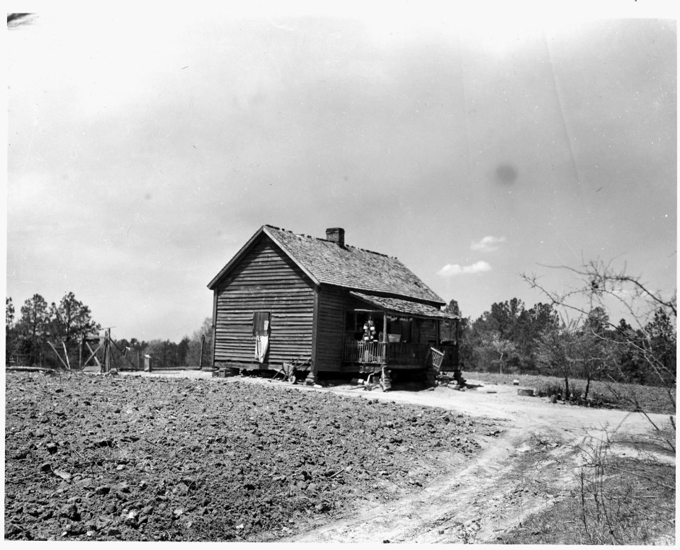Newberry County, South Carolina. Temporary home and farm on Enoree District, Sumter National Forest . . . - NARA - 522805