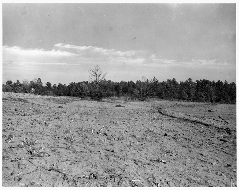 Newberry County, South Carolina. View from farm of Dan Clark, Whitmire, Route 2, South Carolina, int . . . - NARA - 522791