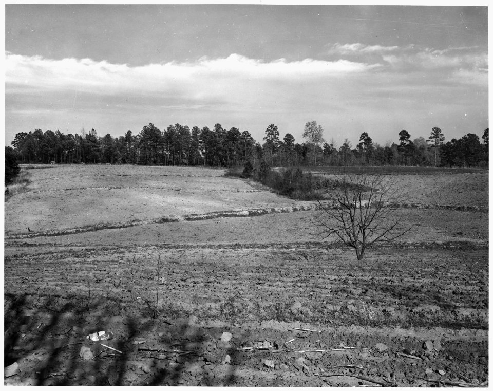 Newberry County, South Carolina. View from farm of Dan Clark, Whitmire, Route 2, South Carolina, int . . . - NARA - 522799