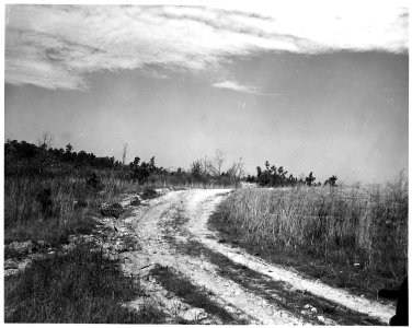 Newberry County, South Carolina. The road to the Wm. Swittenberg use on temporary farm, a track thro . . . - NARA - 522765