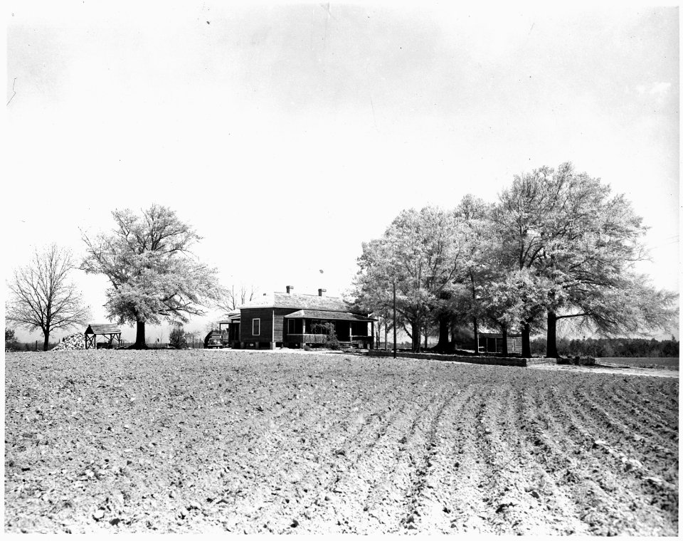 Newberry County, South Carolina. Rehabilitated home on permanent farm on Enoree District, Sumter Nat . . . - NARA - 522787