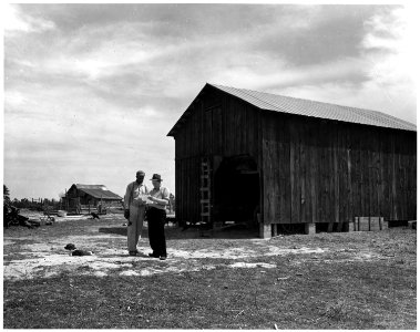Newberry County, South Carolina. View showing new and old barn of Peter Kinard. - NARA - 522825