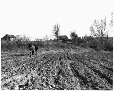 Newberry County, South Carolina. View from farm of Dan Clark, Whitmire, Route 2, South Carolina, in . . . - NARA - 522800