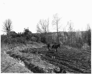Newberry County, South Carolina. View from farm of Dan Clark, Whitmire, Route 2, South Carolina, int . . . - NARA - 522809
